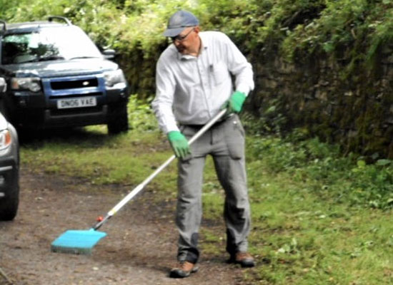 clearing vegetation