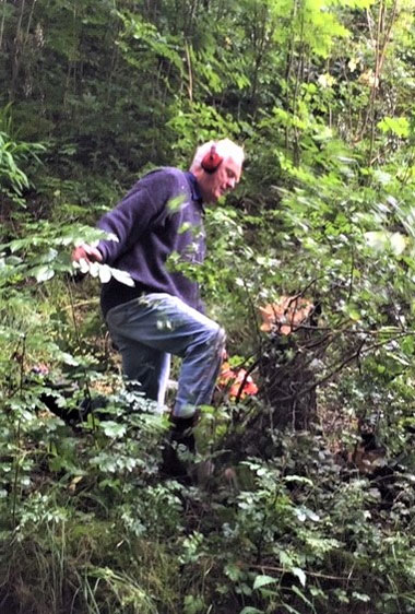 clearing vegetation