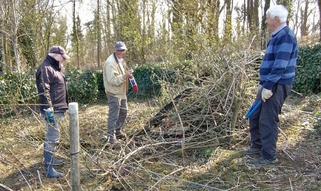 toaves allotment