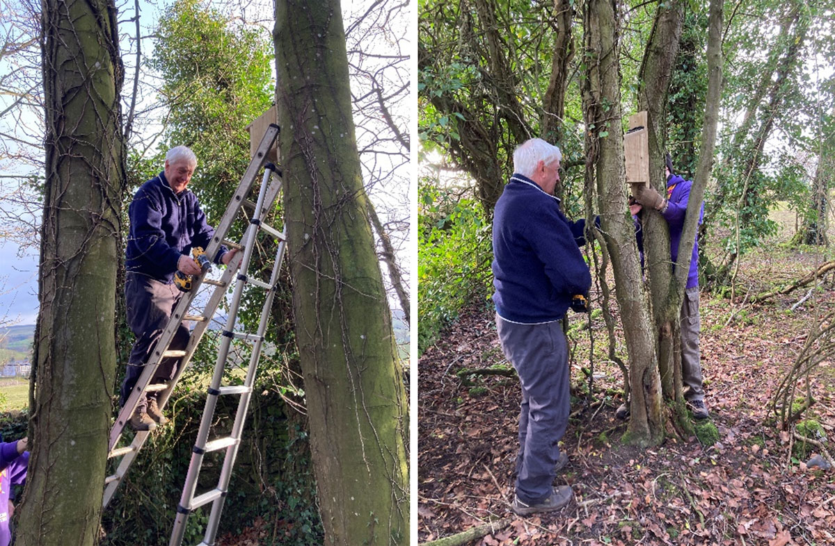 Bird Boxes Installation in Jubilee Park
